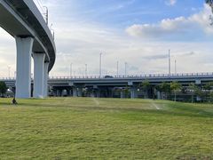 -宝安西湾红树林湿地公园