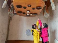 -金山农民画村-枫泾波兰倒置屋