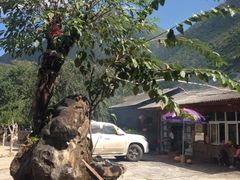 iphone_upload_pic-跃进桥火烧鸡(怒江西岸店)