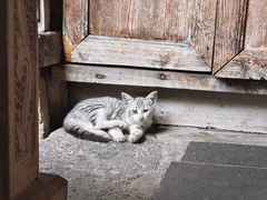 -龙姐私房菜(和顺古镇店)