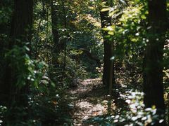 -青龙山国家森林公园