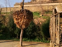 -梁家河村红色旅游区