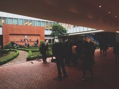 -香港大学
