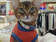 -巴黎春天(陕西路店)