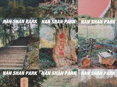 -南山森林公园
