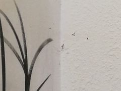 -朱鸿兴面馆(镇湖店)