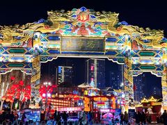 -沈阳奥体冰雪嘉年华