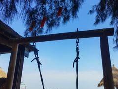 -北海金海湾红树林生态旅游区