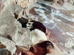 -济南野生动物世界