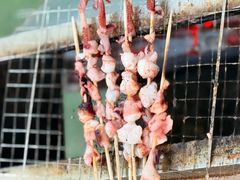 -尚庄度假村·庭台树下·户外烧烤·团建CS·轰趴营地(上庄水库店)