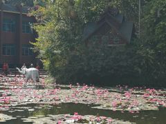 -野象谷景区