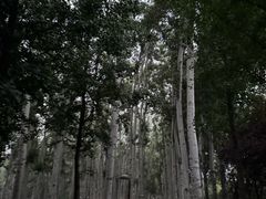 -仁和公园(顺义区)