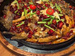 -老板恋上鱼(恒隆广场店)