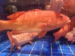 -粤珍轩.创始店.始于2001(含光门店)