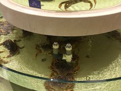 -白金汉爵大酒店·中餐厅(相城店)