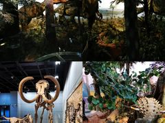 -浙江自然博物院(杭州馆)
