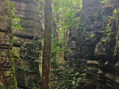 -梭布垭石林景区