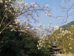 -亭亭鲜花店(中山北路店)