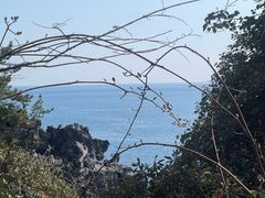 -柱状节理带