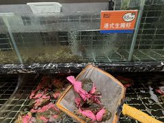 -江南粥家庄(宁国路店)