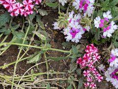 -云峰山自然风景区