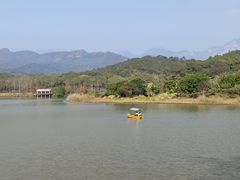 -田野绿世界