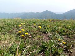 -灵山