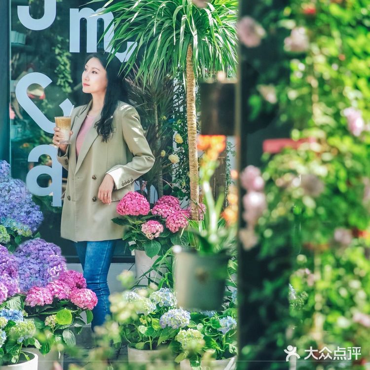 探店|在胡同绣球花盛开的小院听一曲周杰伦