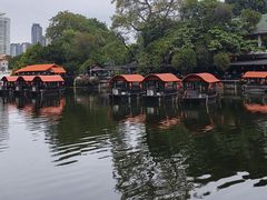 -侨美·唐荔园·40年地道粤菜