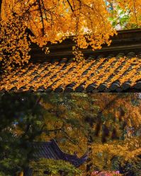 -東田造型