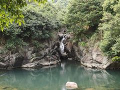 -杨梅坑