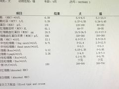 -美联众合动物医院·24h京西诊疗中心