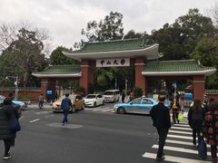 -中山大学学者灵芝(园南路店)