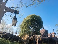 -Tangled Tree Tavern 老藤树食栈