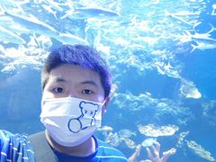 -华夏文旅海洋公园