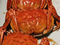 -南京大牌档(中关村领展广场店)