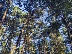 -帽儿山国家森林公园