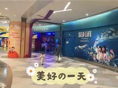 -沈阳海洋探索中心