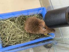 -怪兽屋·羊驼·猫咖·狗咖(俊华广场店)