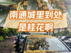 -南通濠河风景名胜区