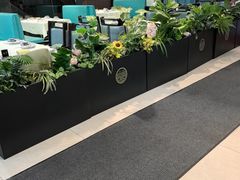 -丁老爷子苏香圆