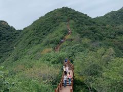 -大岭沟猕猴桃谷风景区
