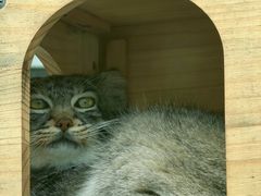 -青藏高原野生动物园