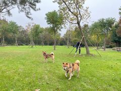 -上海海湾国家森林公园