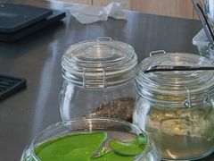 -the fall kaffe乐否咖啡