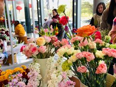 -奔驰上海利星(七宝店)