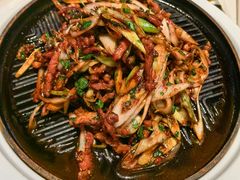 -桂满陇·海市蜃楼·黑金(国金店)