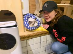 -喵屿·大理花园猫咖