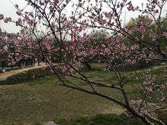 景点-东关历史文化旅游区-东门遗址