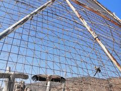 -新疆天山野生动物园